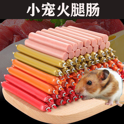 什么类型的零食最适合我的金丝熊？