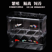 Peacock viviparous fish hatching box fish tank isolation box breeding box artifact hatching mother fish acrylic baby fish suspended