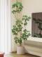Duck Foot Wood Simulated Green Plants Classy Accessible Luxury Indoor Living Room Bionic Plants Large Potted Floor-Standing Artificial Trees Decorative Ornaments