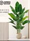 Bird of Paradise Artificial Flowers, Artificial Flower Decorations, Indoor Living Room Decorations, Bionic Florals, Classy Accessible Luxury Fake Green Plants
