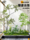 Simulated Green Plants for Landscaping, Arranged under Indoor Stairs, Trendy Decorative Combination, Tropical Artificial Plants, Biomimetic Landscape Landscaping