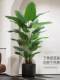 Bird of Paradise Artificial Flowers, Artificial Flower Decorations, Indoor Living Room Decorations, Bionic Florals, Classy Accessible Luxury Fake Green Plants