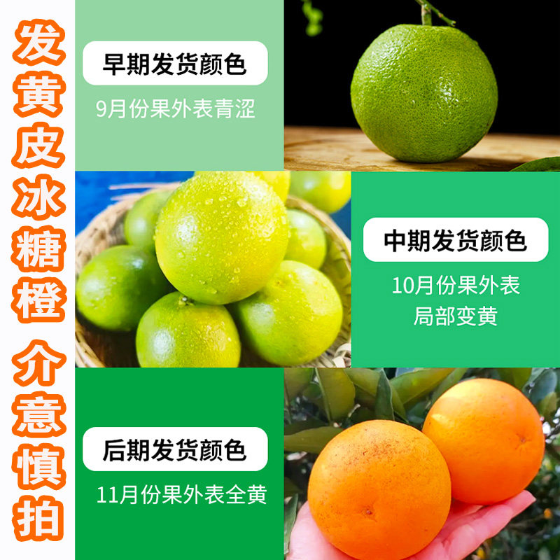 青皮的功效与作用探析-健康-淘宝百科网