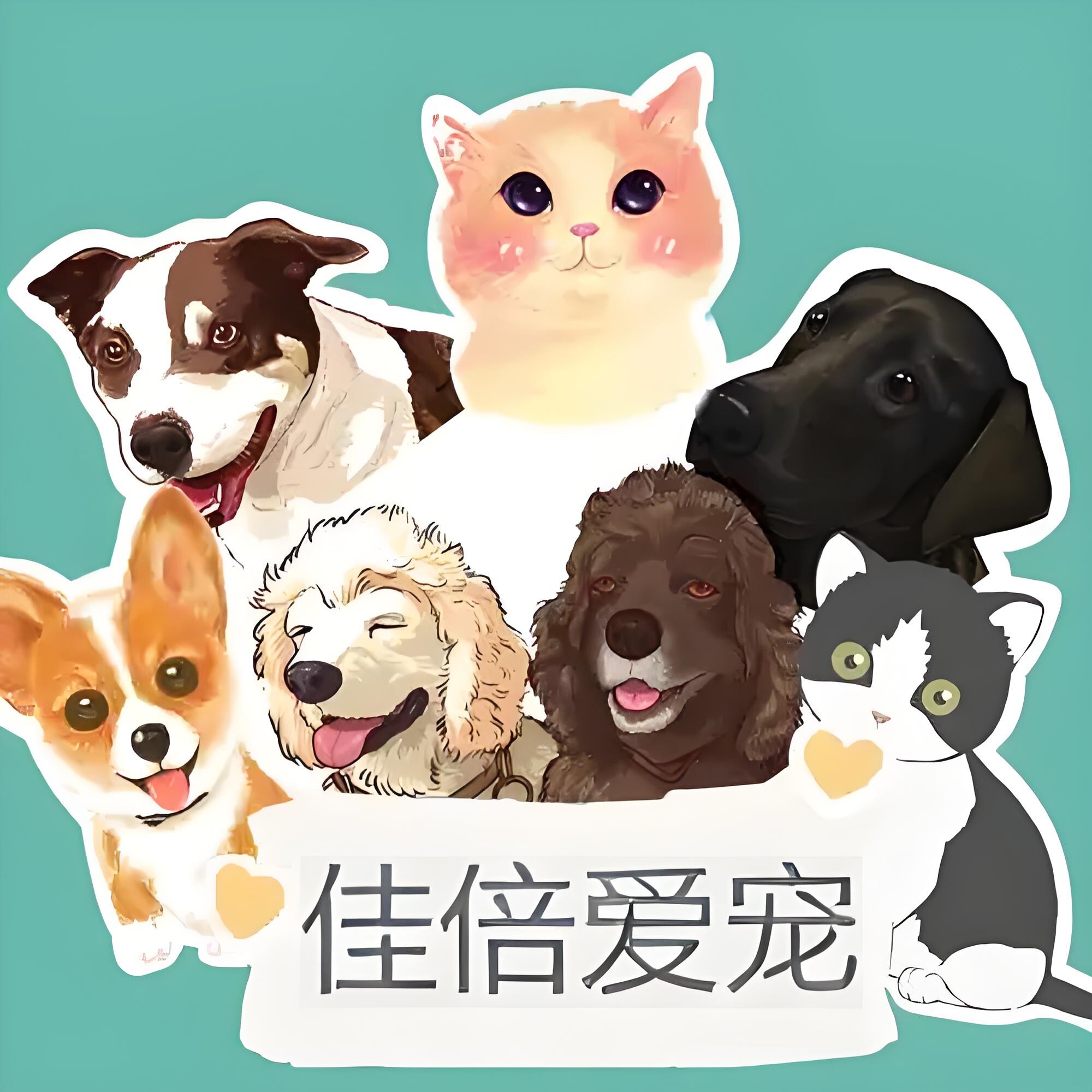 佳倍爱宠的LOGO
