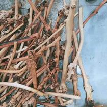 Root carving wood back black knock fruit wood fitness wood handle stick tree tumor camellia camellia scar hammer wooden hammer hammer hammer