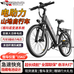 Pilot Mavericks Electric Power Bicycle Adult New arrival to Work Long Continue Motorcycle Restoration