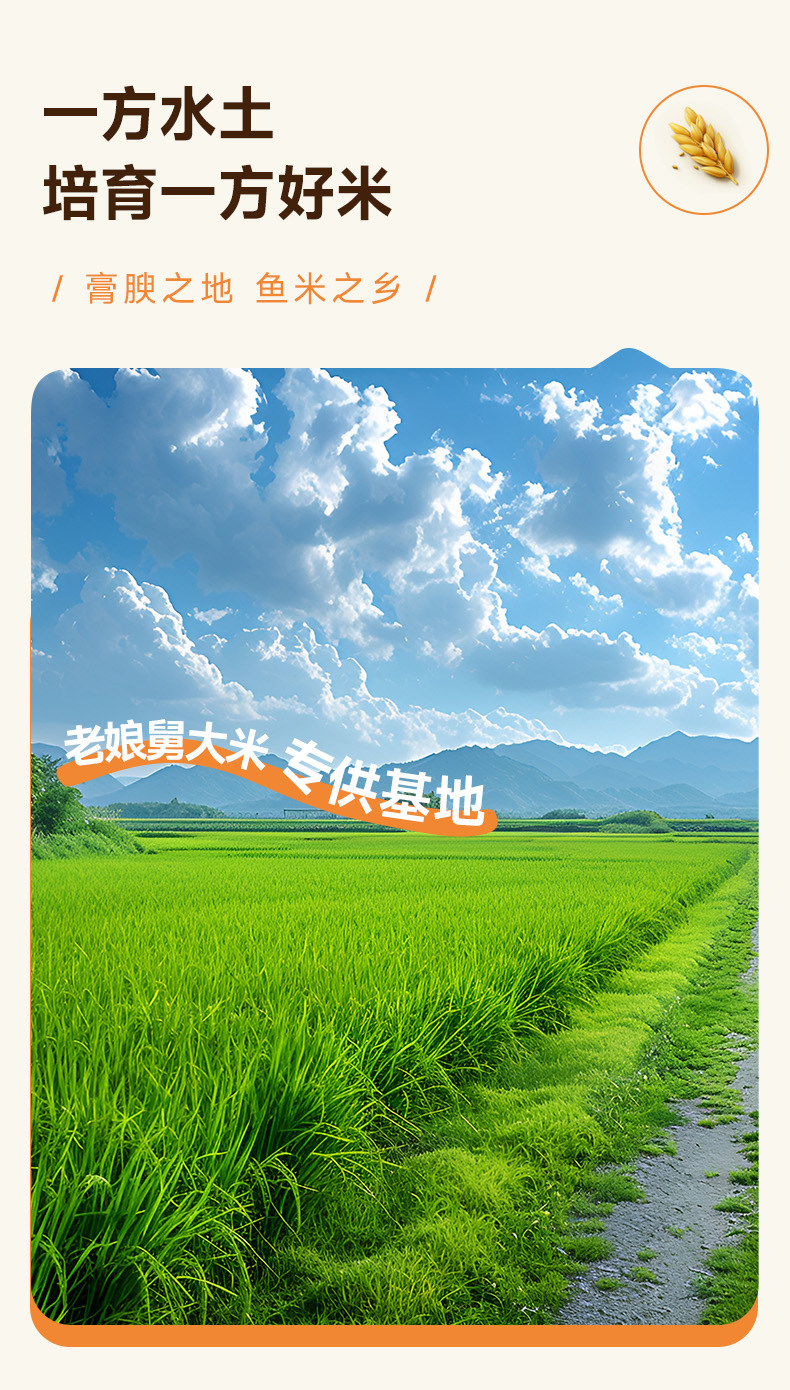 安享好物 安享E级粳米-老娘舅香稻米 国标 