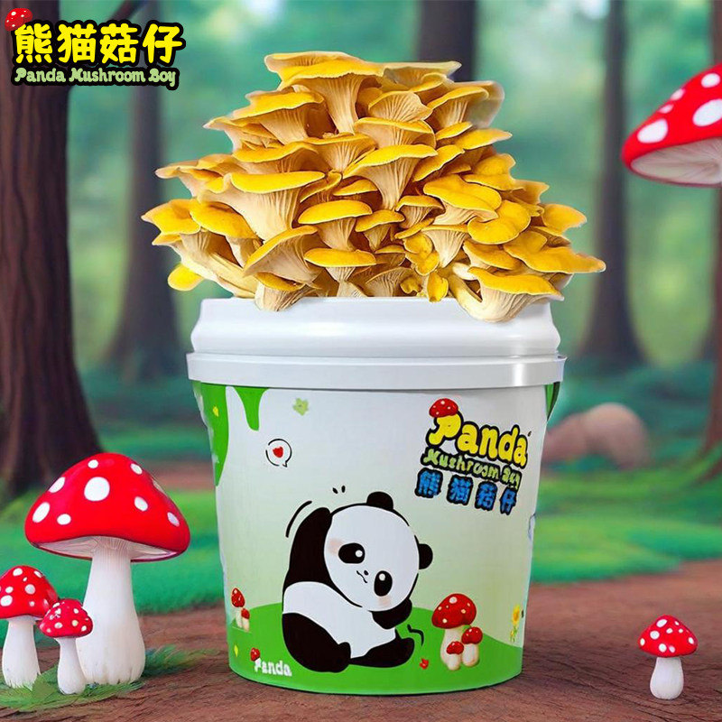 多蘑有趣蘑菇坊