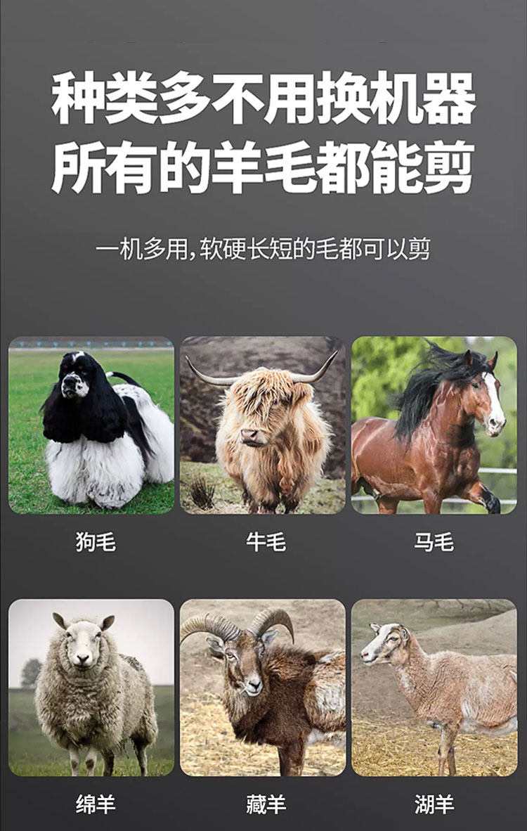 Ножницы 电动羊毛剪专业用剪毛机可调速给羊剃毛推剪羊毛神器大功率电推剪