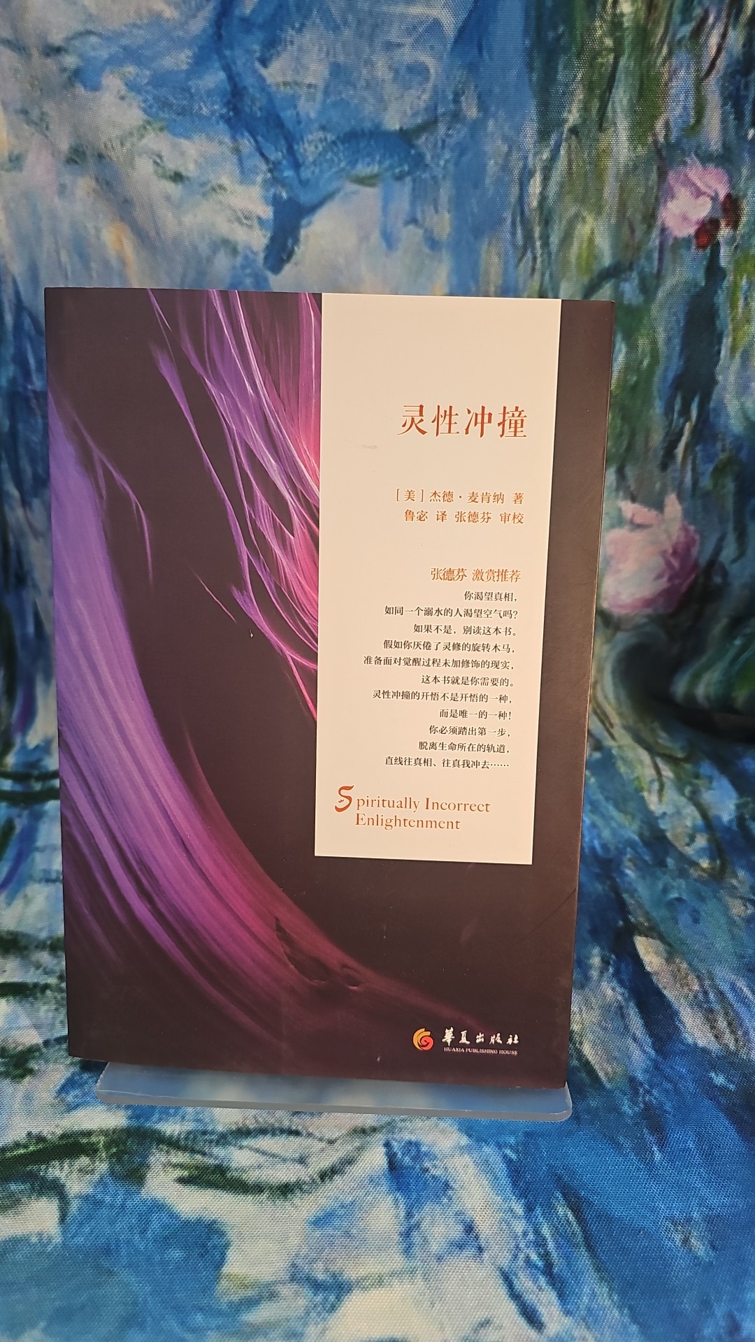 灵性冲撞，开启心灵觉醒之旅？这本书真的能让你的灵魂升级吗？📚✨-心灵与修养-淘宝好物网
