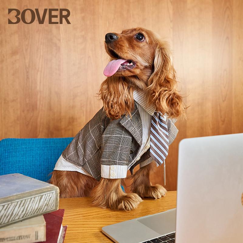 Bover Dog Suit Formal Wear Fake Two-Piece Set Wedding Tie Shirt Small and Medium-Sized Dog Pet Clothes Teddy