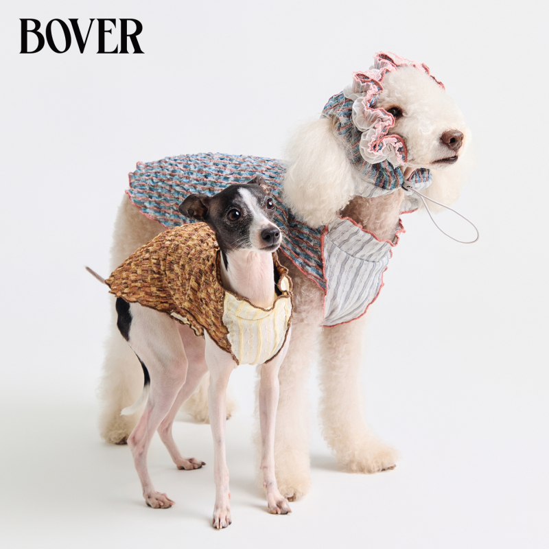 Bover Pet Spring and Summer Elastic Color-Blocked Lace Sleeveless Shirt with Trim Decoration for Small and Medium-Sized Dogs Like Cockapoo, Bichon Frise, and Teddy