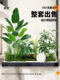 Simulated Plant Landscaping Indoor Large-Scale Artificial Green Plant Landscape Display Window Staircase Entrance Decoration Floor-Standing Combination Ornaments