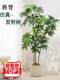 Artificial Green Plant Money Tree Decoration, High-End Luxury Indoor Fake Potted Plant, Large Floor-Standing Tree for Living Room, Simulated Plant