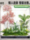 Simulated Landscaping Green Plant Combination for Under-Stairway Malls, Tropical Artificial Plant Landscape, Indoor Landscape, Window Display Decorations