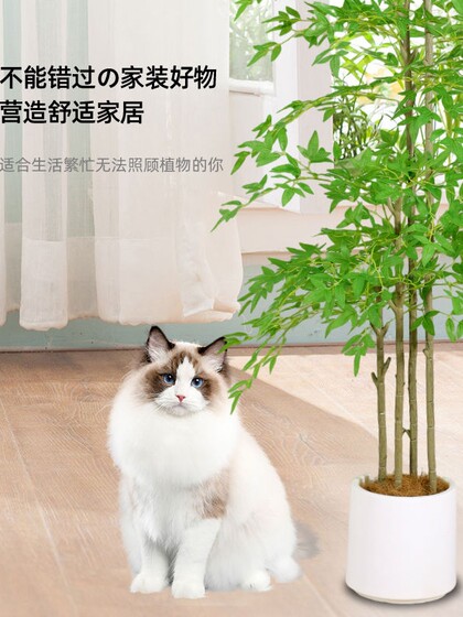 Simulated Green Plant Nandina Bamboo Floor-Standing Potted Plant Living Room Decoration Indoor Artificial Plant High-Quality Bonsai Decoration Artificial Tree