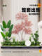 Simulated Plant Landscaping Indoor Large-Scale Artificial Green Plant Landscape Display Window Staircase Entrance Decoration Floor-Standing Combination Ornaments