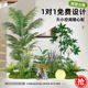 Indoor Artificial Plant Landscaping, Large Artificial Green Plant Combination, Landscape Decoration, Fake Plants under the Stairs, Floor-Standing Ornaments