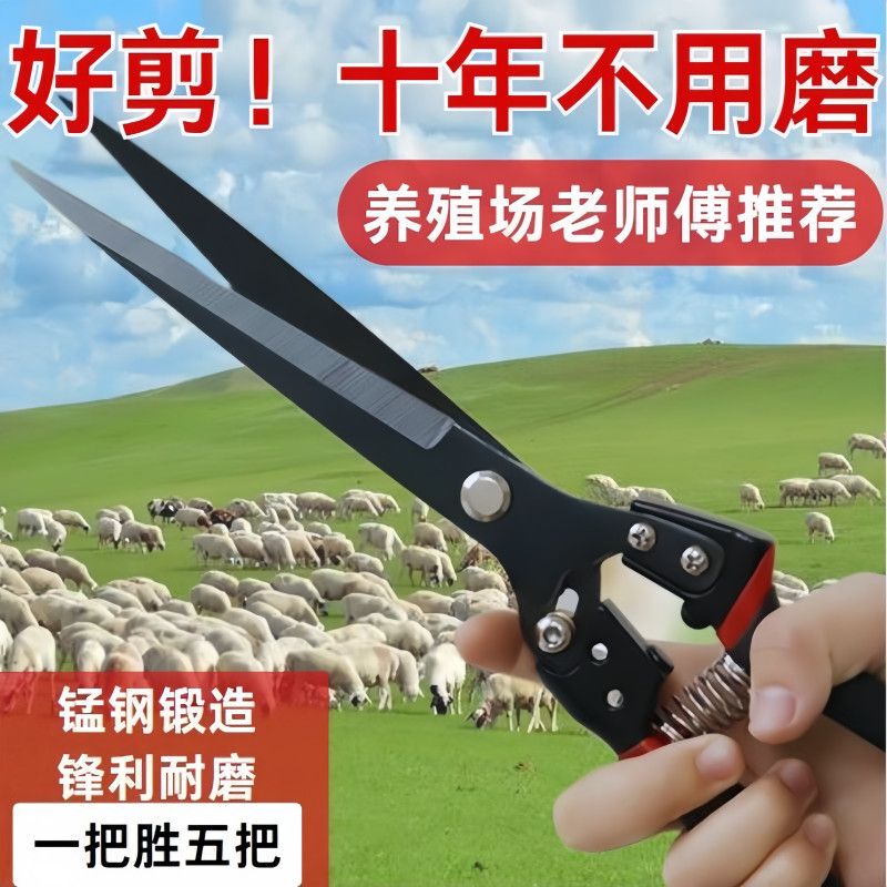 German Imported New Imported Sk-5 Steel Wool Special Scissors for Cutting Rabbits, Dog Hair, Wool, Horsehair, Universal Professional