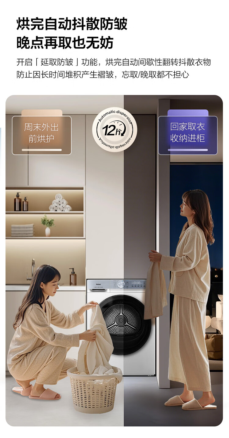 Сушильная машина Haier GA100-25DW ледяной белый