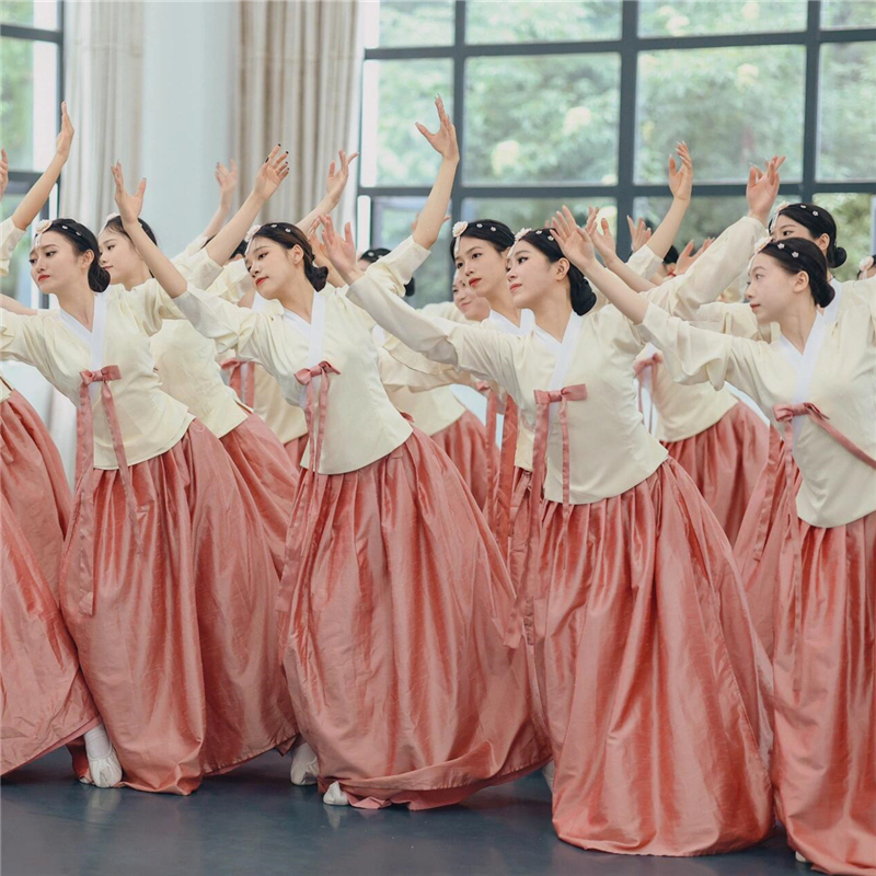 Korean Dance Performance Costumes for Women, Ethnic Minority Dance Skirts, Practice Clothes, Yanji Hanfu, Grading Practice Skirts