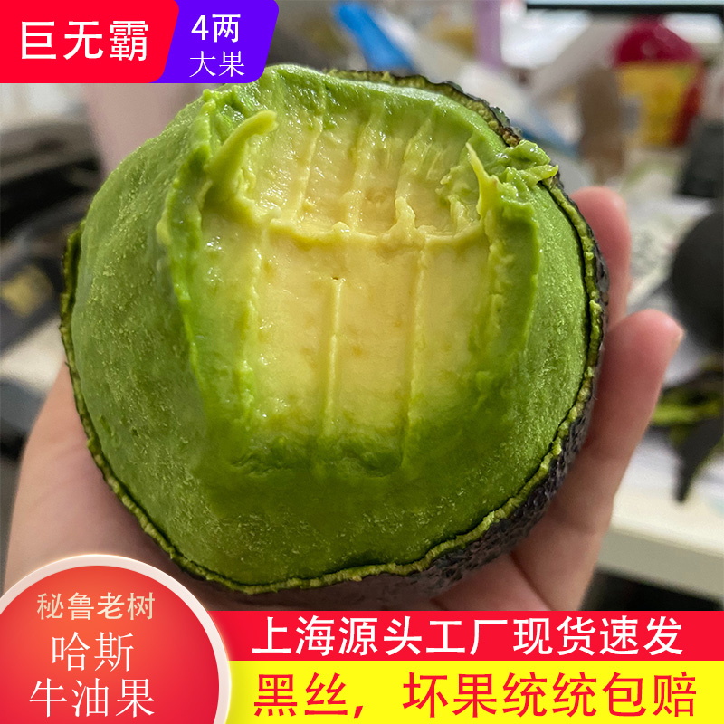 秘鲁进口哈斯牛油果：巨无霸Hass鳄梨，当季现摘，上海现货速发！