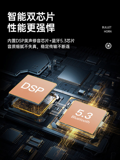 TANALAZ Tanula k29 Audiomikrofon integrierter Bluetooth-Lautsprecher tragbares kabelloses Heim-Karaoke