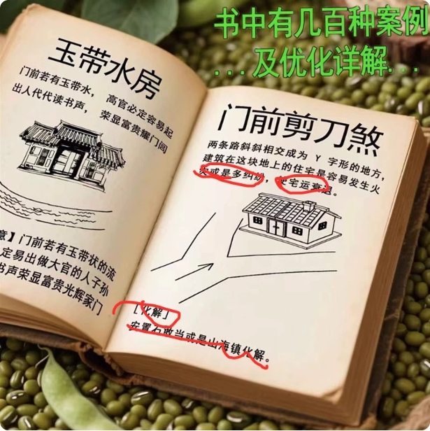 Illustrated Yangzhai Encyclopedia Detailed explanation of modern houses and residences vernacular teaching book