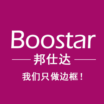 boostar邦仕达广东专卖店