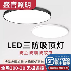 2026 New Led Ceiling Light for Room, Bedroom, Living Room, Hall, Modern Simple and Elegant Zhongshan Lighting Fixtures