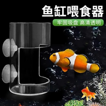 Parrot fish turtle fish tank fish food floating feeding ring suspended fish feeding ring koi large aquarium floating