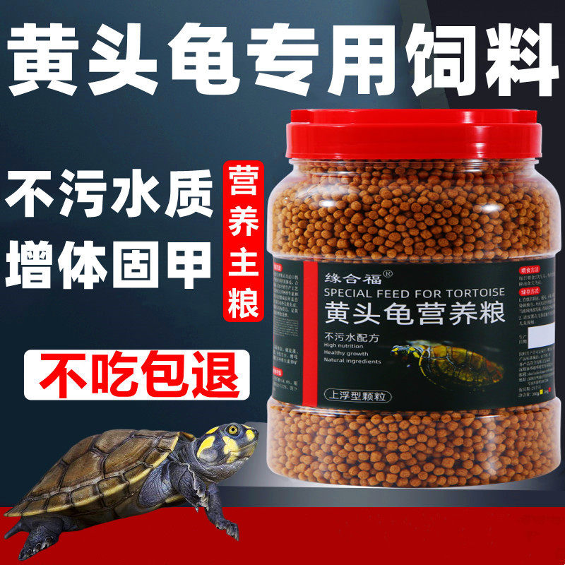 养龟新手必看!缘合福龟粮黄头剃刀龟饲料,让你的龟宝宝健康成长!-观赏龟-淘宝好物网