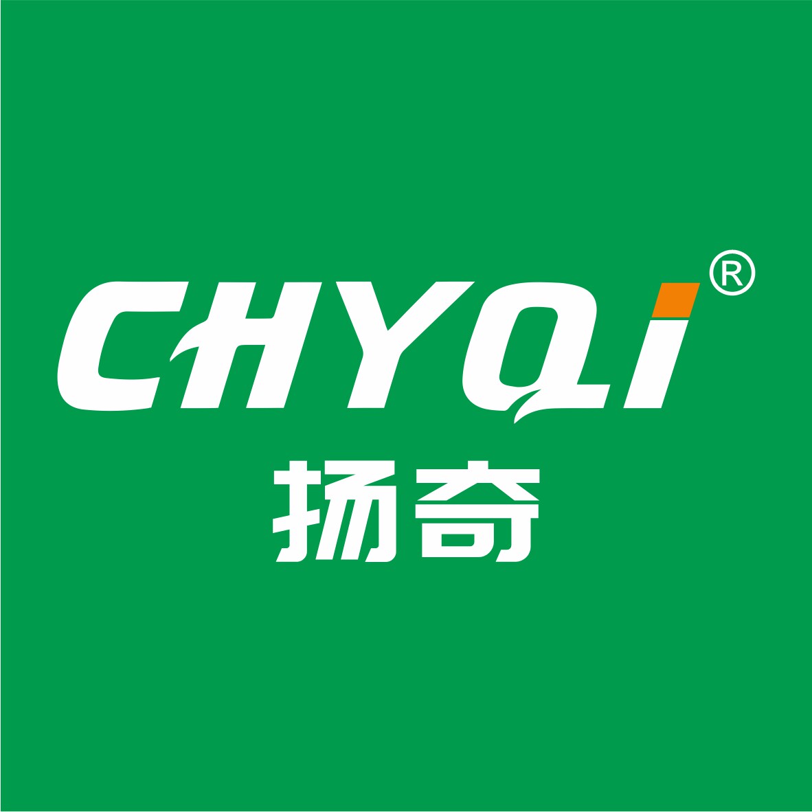 CHYQI旗舰店的LOGO