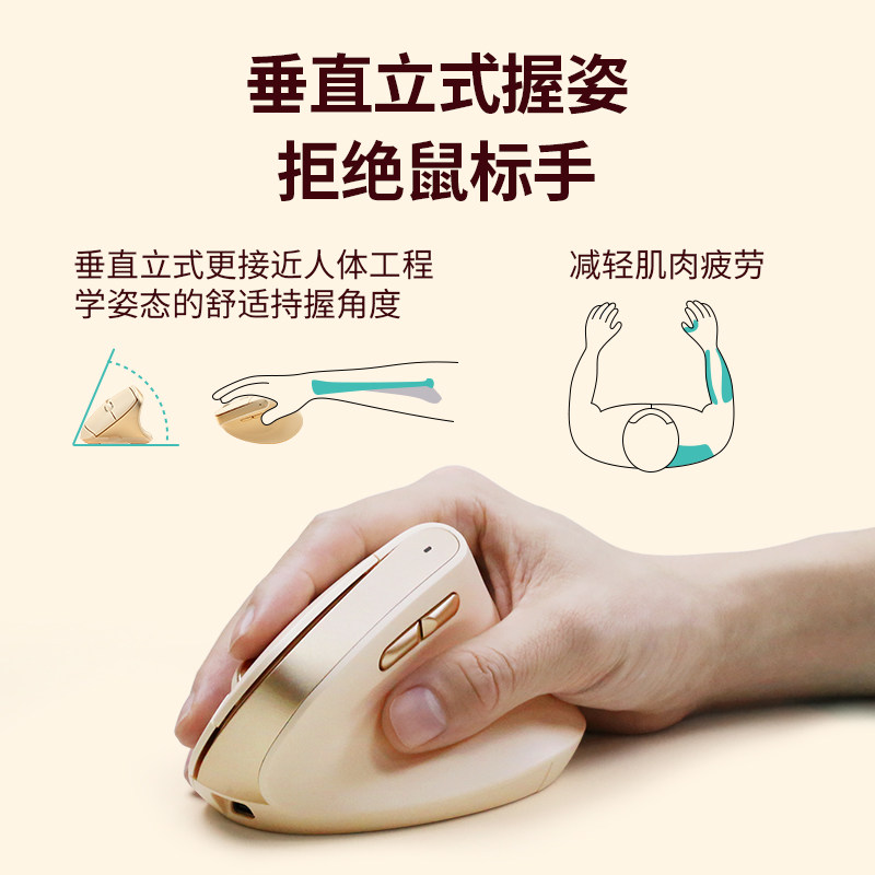 Bow Premium Ergonomic Vertical Wireless Mouse for Desktop and Laptop, Office Use, Silent