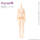 [Скидка на бронирование] AZONE Super Movable 2-го поколения SMLL female Prime Body General Muscle белые мышцы, сжигающие жир, 6 баллов PFL099/100 mini 3