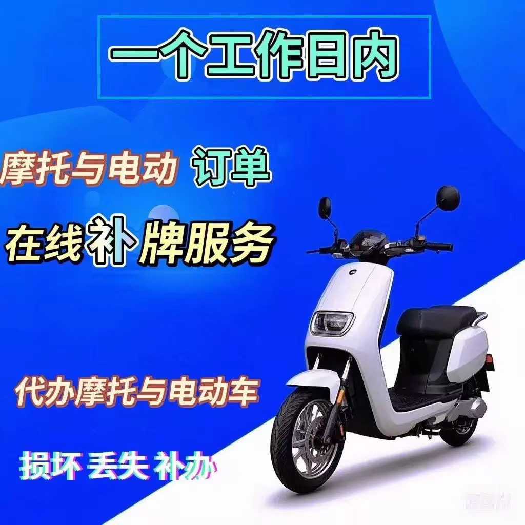 绿色电动自行车观赏牌保险备案专用牌个性改装号码牌校园防盗牌照有何区别？-电动车上牌服务-淘宝好物网