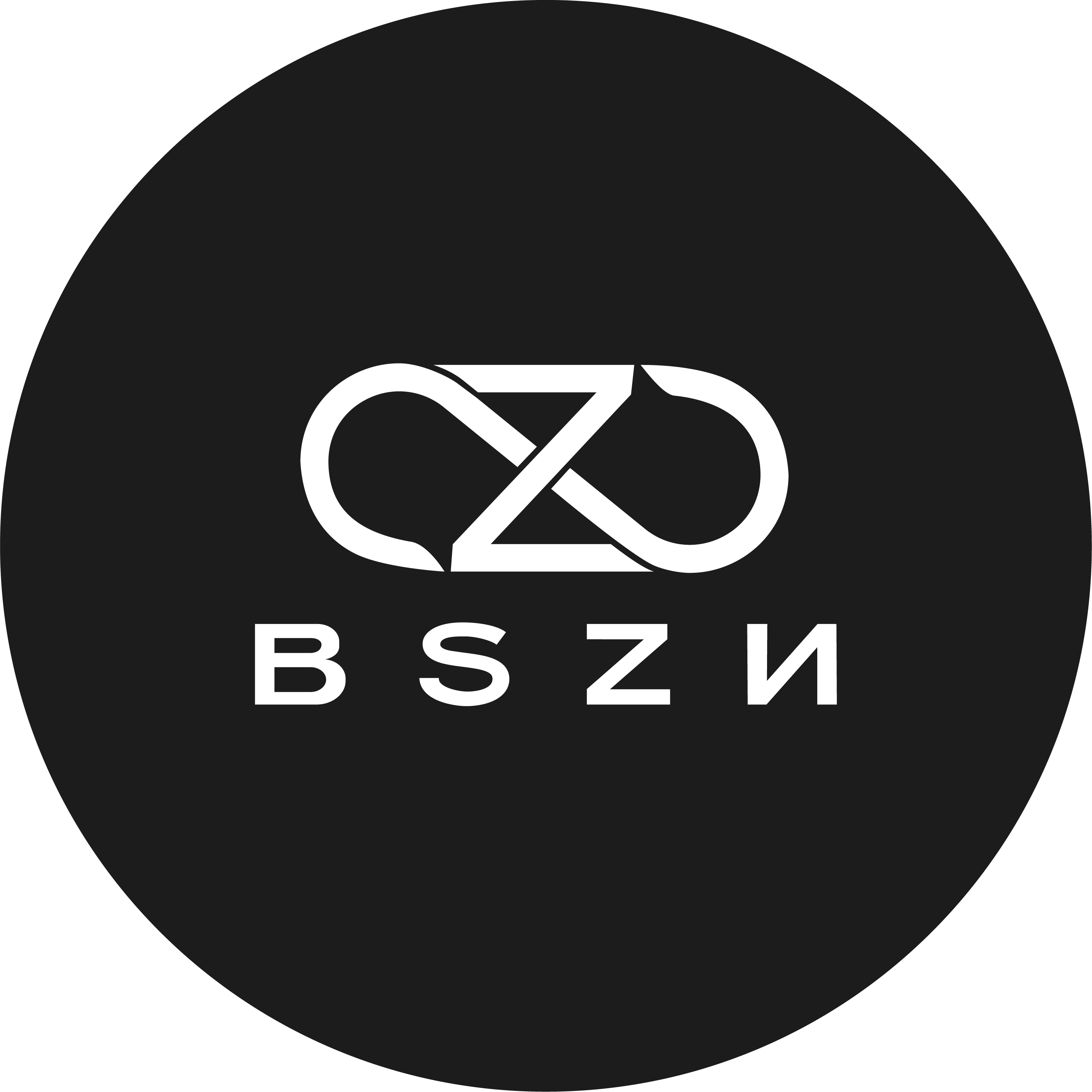 半兽之内BSZN的LOGO