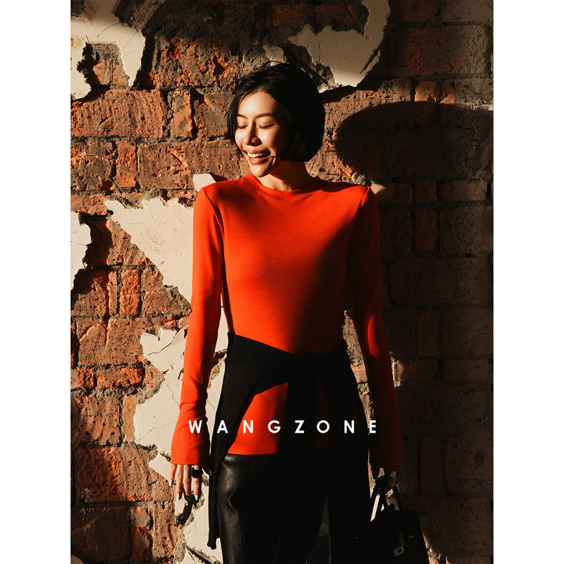 Wang Zone｜Italian 100% Fine-Spun Wool Machine-Washable Knitwear Multi-Color Round-Neck T-Shirt Base Layer for Women