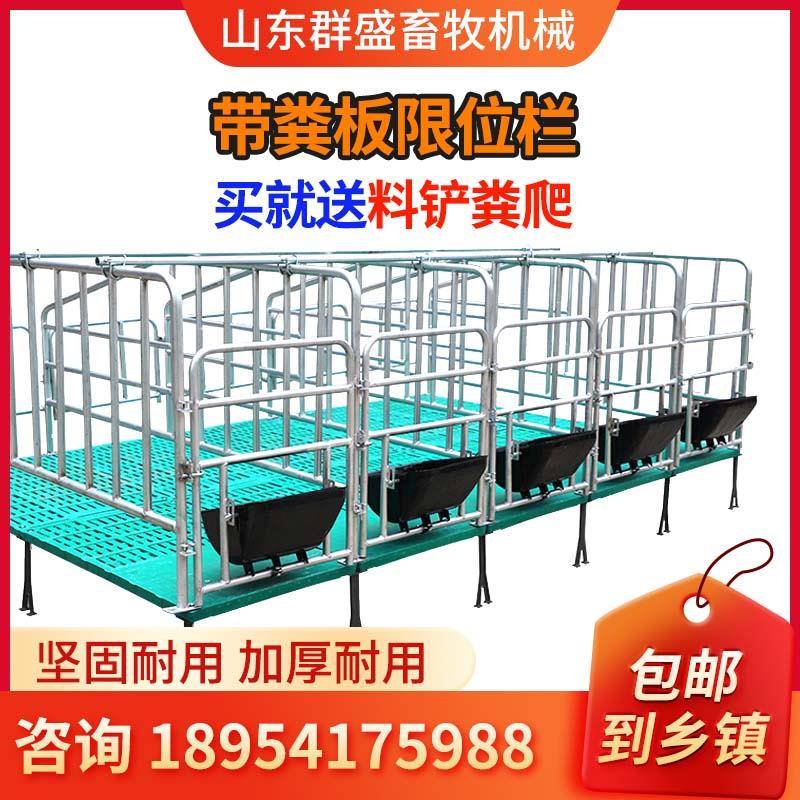 猪厂母猪定位栏:养殖界的革命性创新,加厚热镀锌限位栏引领潮流!💪-猪栏猪笼-淘宝百科网