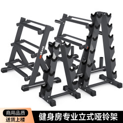 Fitness Equipment for Gym Use, 6 or 10 Dumbbell Racks, Vertical Stand for Personal Training, Commercial Double-Layer Dumbbell Rack, Thickened