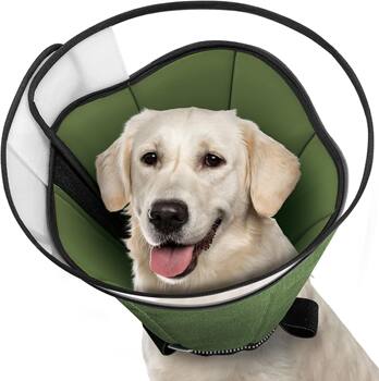 Dog Elizabethan Collar, Deepened and Enlarged, Adjustable, for Medium and Large Dogs, Anti-Bite Head Collar, Sterilization Collar, Anti-Licking Neck Collar