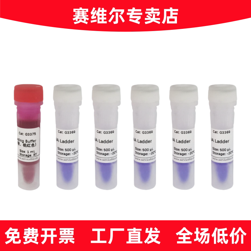 赛维尔 G3369-05 GN1000bp DNA Ladder