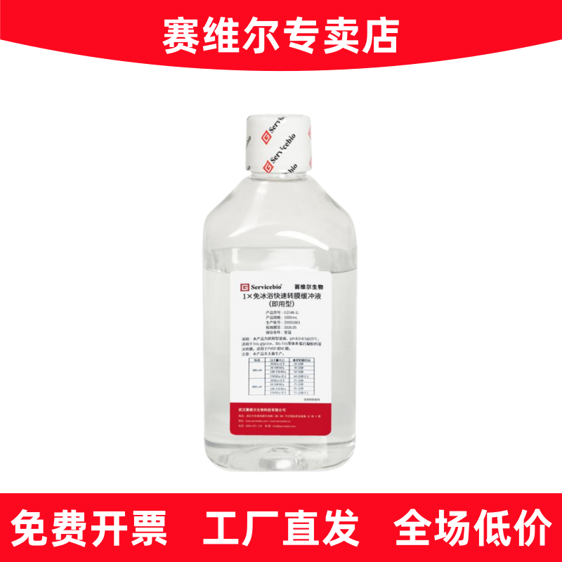 赛维尔 G2148-1L 1&times;免冰浴快速转膜缓冲液（即用型）