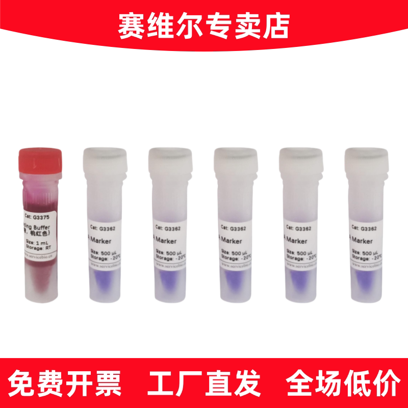 赛维尔 G3362-05 GN8K DNA Marker