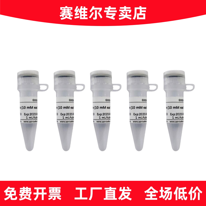 赛维尔 G3026-05 dNTP Mixture (10 mM each)