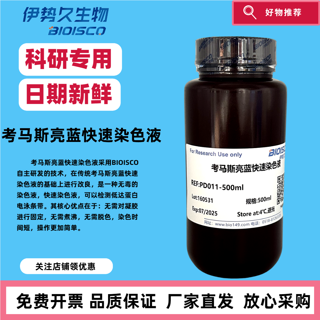 考马斯亮蓝快速染色液500ml 进口原料 官方正品科研专用 蛋白电泳胶快速染色