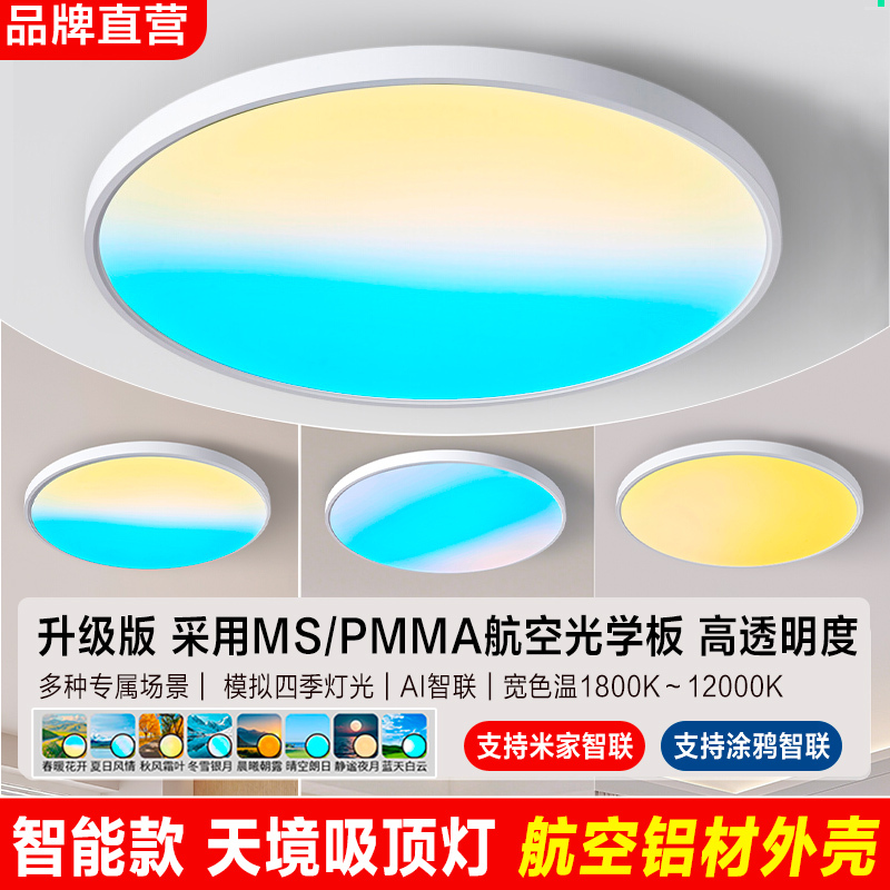 Senweitian Mirror Lamp Smart Led Ceiling Light Aluminum Material Bedroom Living Room Colorful Natural Light Lamp Has Been Connected to the Mijia App