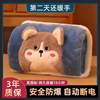 Rechargeable Hot Water Bottle, Explosion-Proof Electric Hand Warmer, Plush Cute Hot Water Bag for Girls, Warm Bed and Hand Warmer