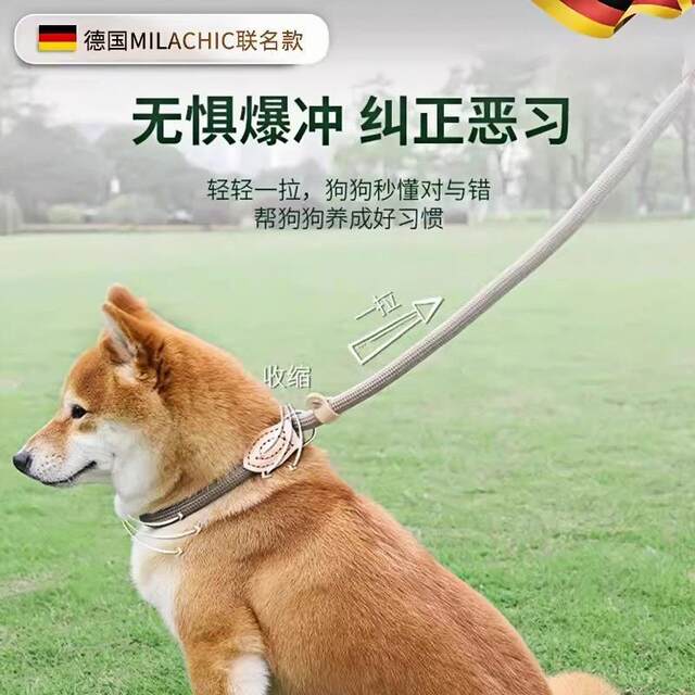 German Dog Leash Anti-Escape Leash for Walking Dogs, Anti-Escape Leash for Medium and Large Dogs