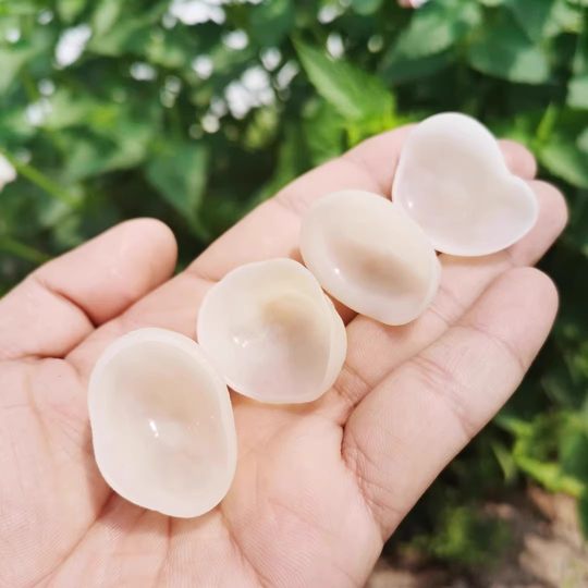 White Jade Fungus Sprouts, Cloud Fungus, a Specialty of Changbai Mountain, Small Bowl-Sized Fungus Sprouts, Wild Linden Fungus, Cold-Dried, Bulk, Natural Dried Goods
